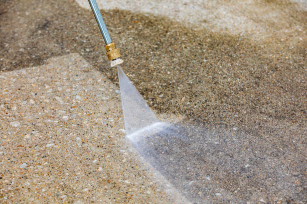 Best Driveway Pressure Washing  in Lock Haven, PA